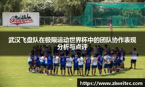 DG视讯官方网站